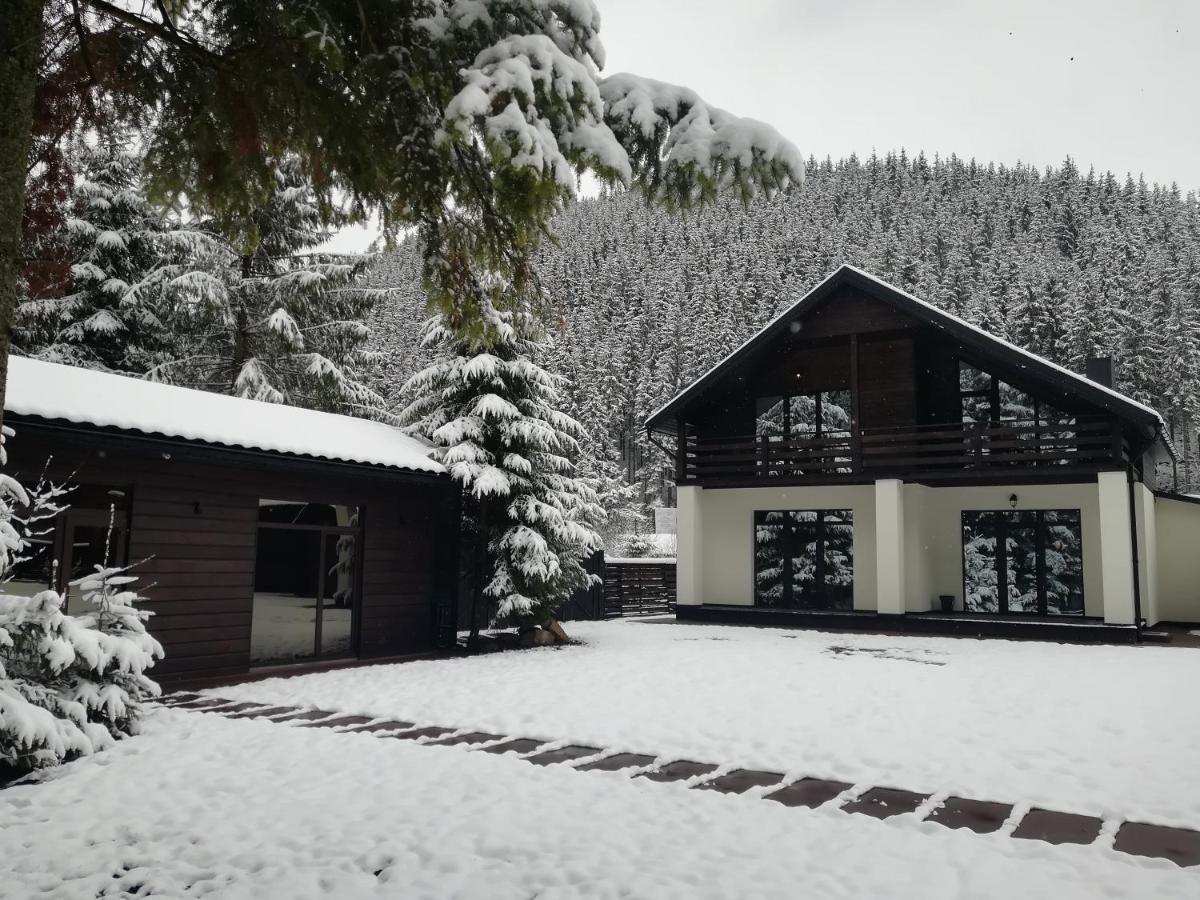 Berghaus Bukovel Villa Bagian luar foto
