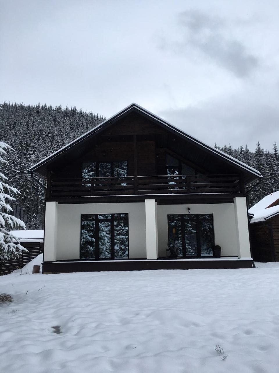Berghaus Bukovel Villa Bagian luar foto